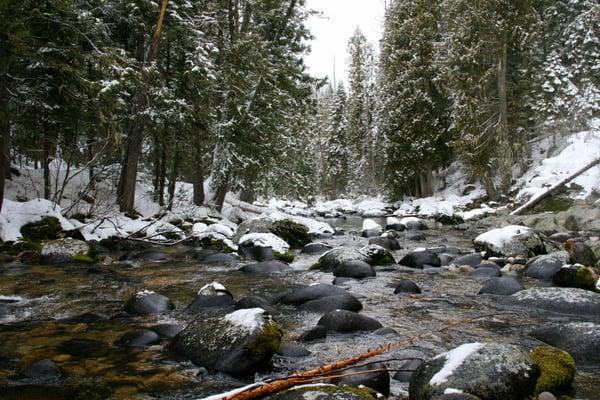 Warm Springs Creek, looking East