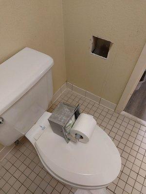 The toilet paper holder ripped out wall and wouldn't stay in hole