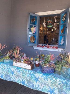 Beautiful succulent displays!