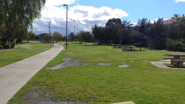 Picnic Tables