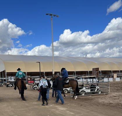 Arabian Horse Show