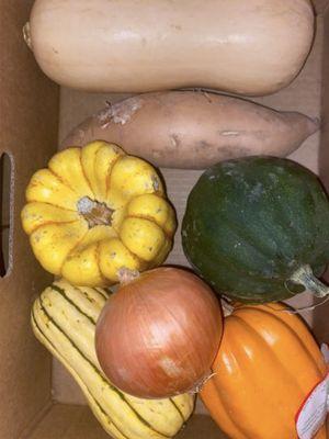 Assorted Squash Box - Fresh Produce