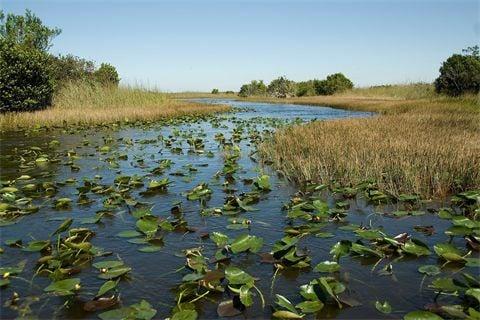 Everglades National Park