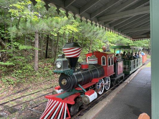 Train that takes you around the park