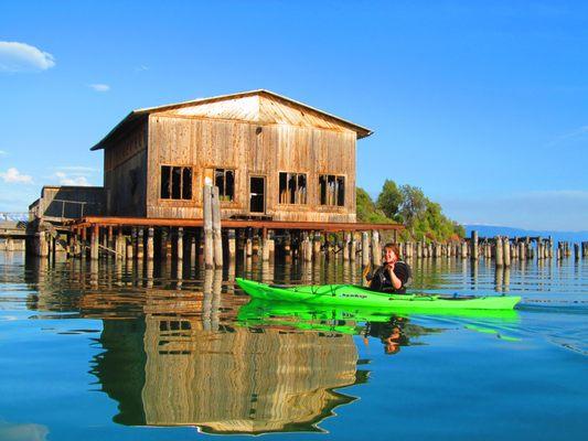 Kayak on Somers Bay near the historic town of  Somers, MT.