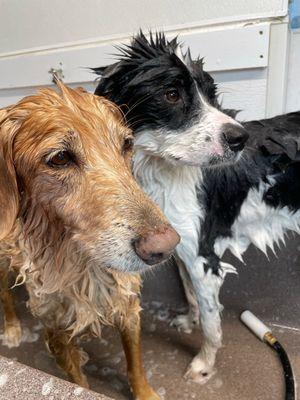 Siblings getting bath together