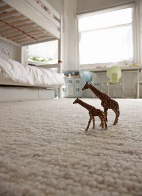 Berber carpet- brings nice texture to a space.