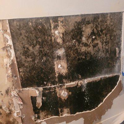 Mold remediation needed under sink