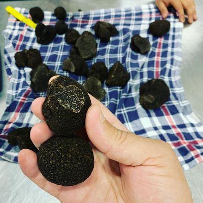 Truffle time