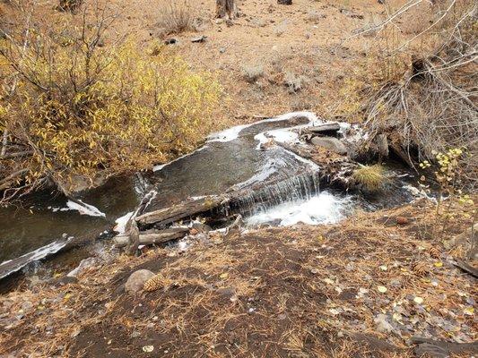 Upper Thomas Creek - Whites Creek - Dry Pond Trail