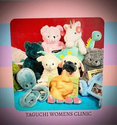 Taguchi Womens Clinic, PLLC