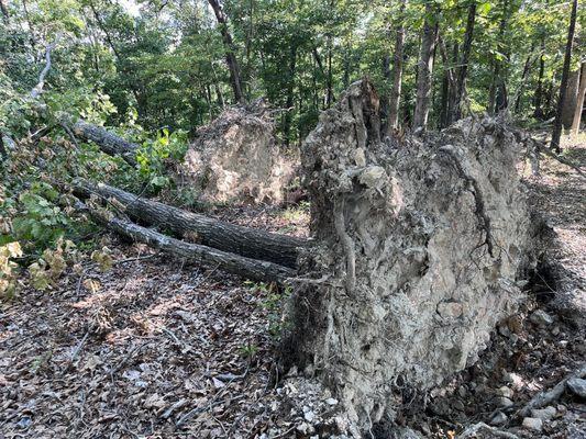 Tornado damage