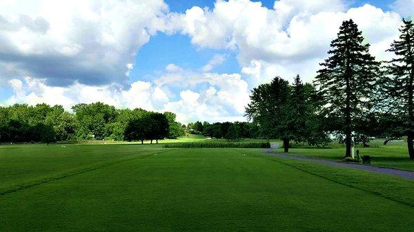 Lush greenery abounds.