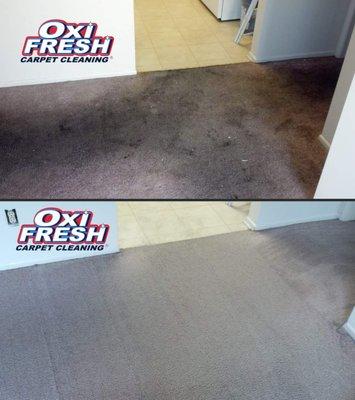 If I didn't do this myself, I would think the carpet was replaced! Oxi Sponge is a heck of a product!