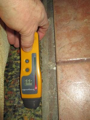 Moisture meter: wet carpet padding