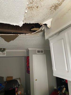 Collapse ceiling from leaking plumbing