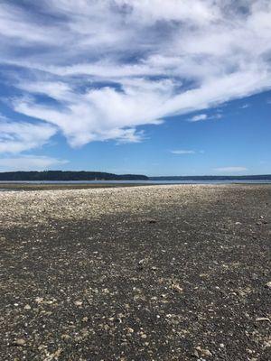 Very low tide