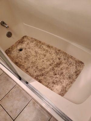 This is the bathtub liner...