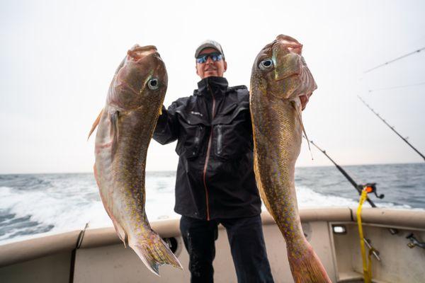 Tilefish are some of the best eating around!