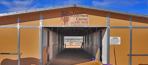 The Southwest's whole-horse retreat and training center.