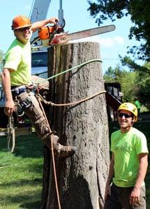 Independent Tree provides a myriad of tree, yard, and property services ranging from Mulching to Woods Clean Up