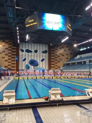 At the 2014 FINA World Cup of Swimming in Dubai