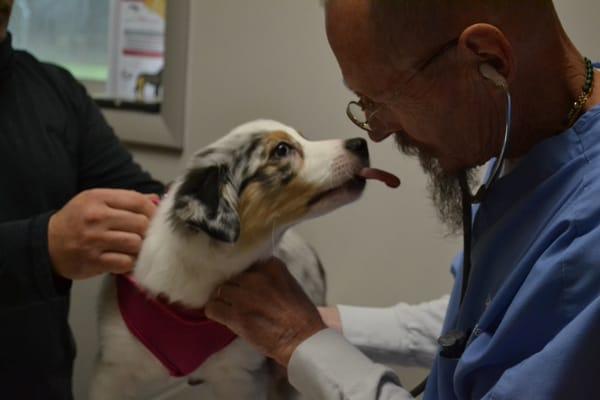 Our Wellness clinic offers visits with one of our veterinarians starting at just $35!
 http://www.delspca.org/veterinary-care/