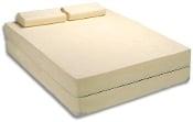 Pandora -10 Inch Memory Foam King or Queen