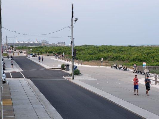 Looking at wildwoods