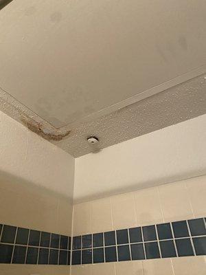 the bathroom ceiling