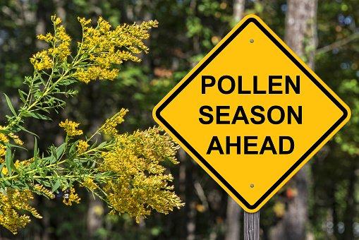 Pollen Season