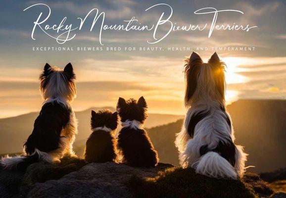 Rocky Mountain Biewer Terriers