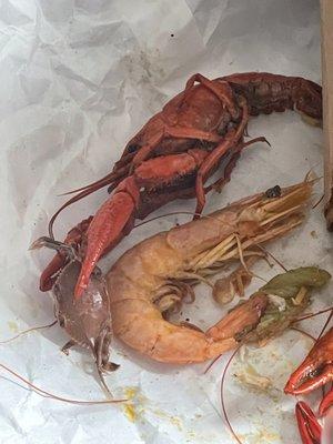 Boiled crawfish, boiled shrimp, and a little crab got in there!