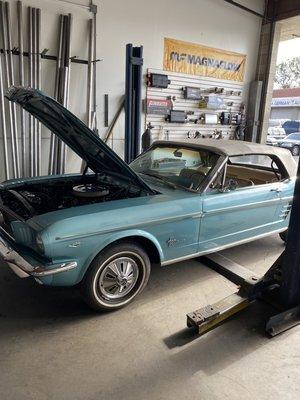 1964 Ford Mustang 
Gorgeous car