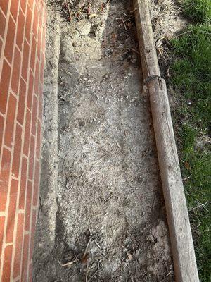 Dumped excess concrete on flower bed