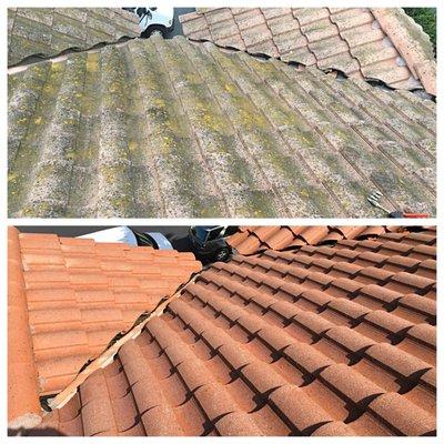 Roof Cleaning 
 Los Angeles