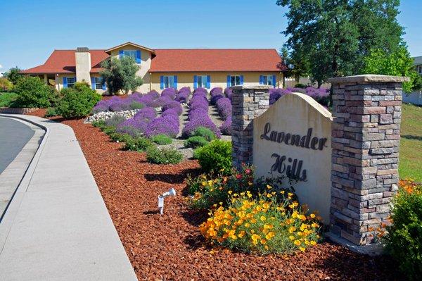 Lavender Hills Assisted Living