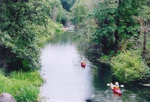 Columbia Slough