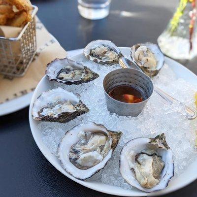 Oysters on the Half - Shell