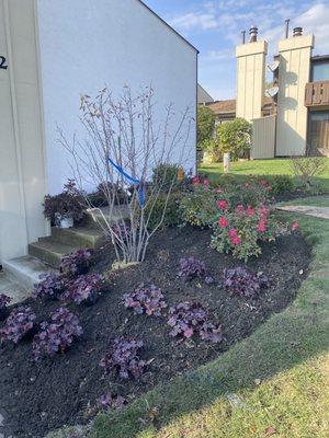 Landscape renovation