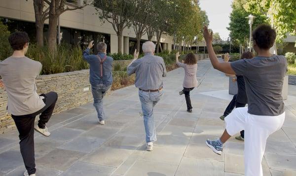 Old Yang Style Tai Chi Long Form Be Like Water Tai Chi, Colorado Center group performing the 3rd set