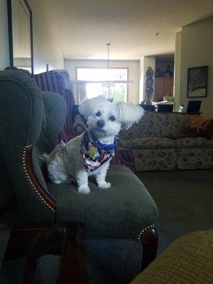 All cute after his hair apt. I love the scarfs he always come home in