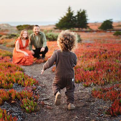 Family photos in ice plant