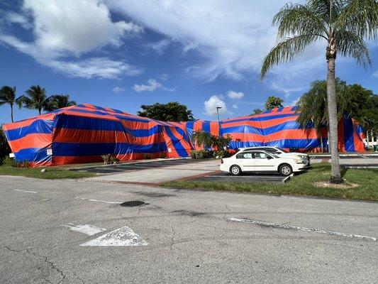 Bye Bye Termites Pest Control 
www.byebyetermitespestcontrol.com
305-244-5688 ANDY
305-525-8361 LAZARO
MIAMI'S #1 FUMIGATION TEAM