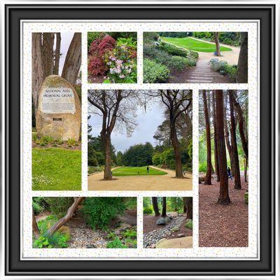 Montage of images from the National AIDS Memorial Grove