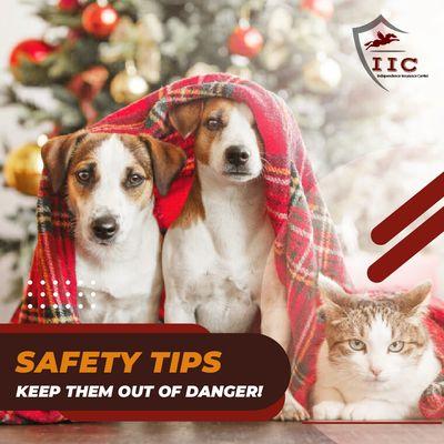 Read these tips to keep your pet safe this holiday season https://bit.ly/3El8tow