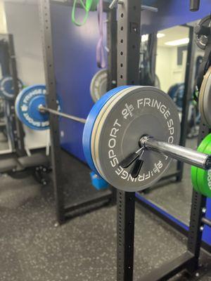 Barbells at sweat studio