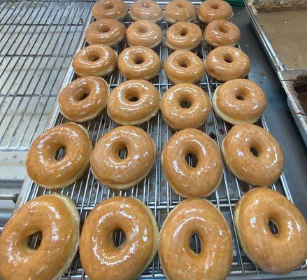 Glaze Raised Donuts