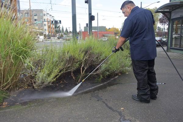 Pressure washing services