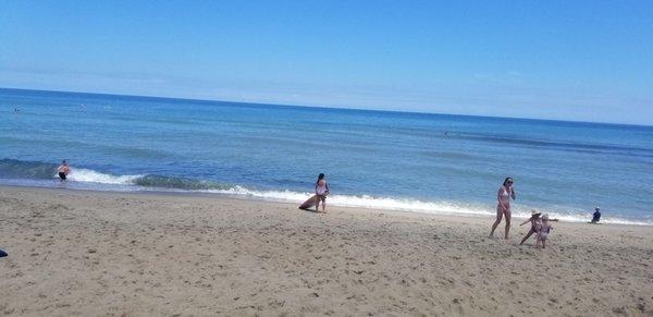 6/23/20 This little girl is ready to go surfing, but her siblings are breaking bad.